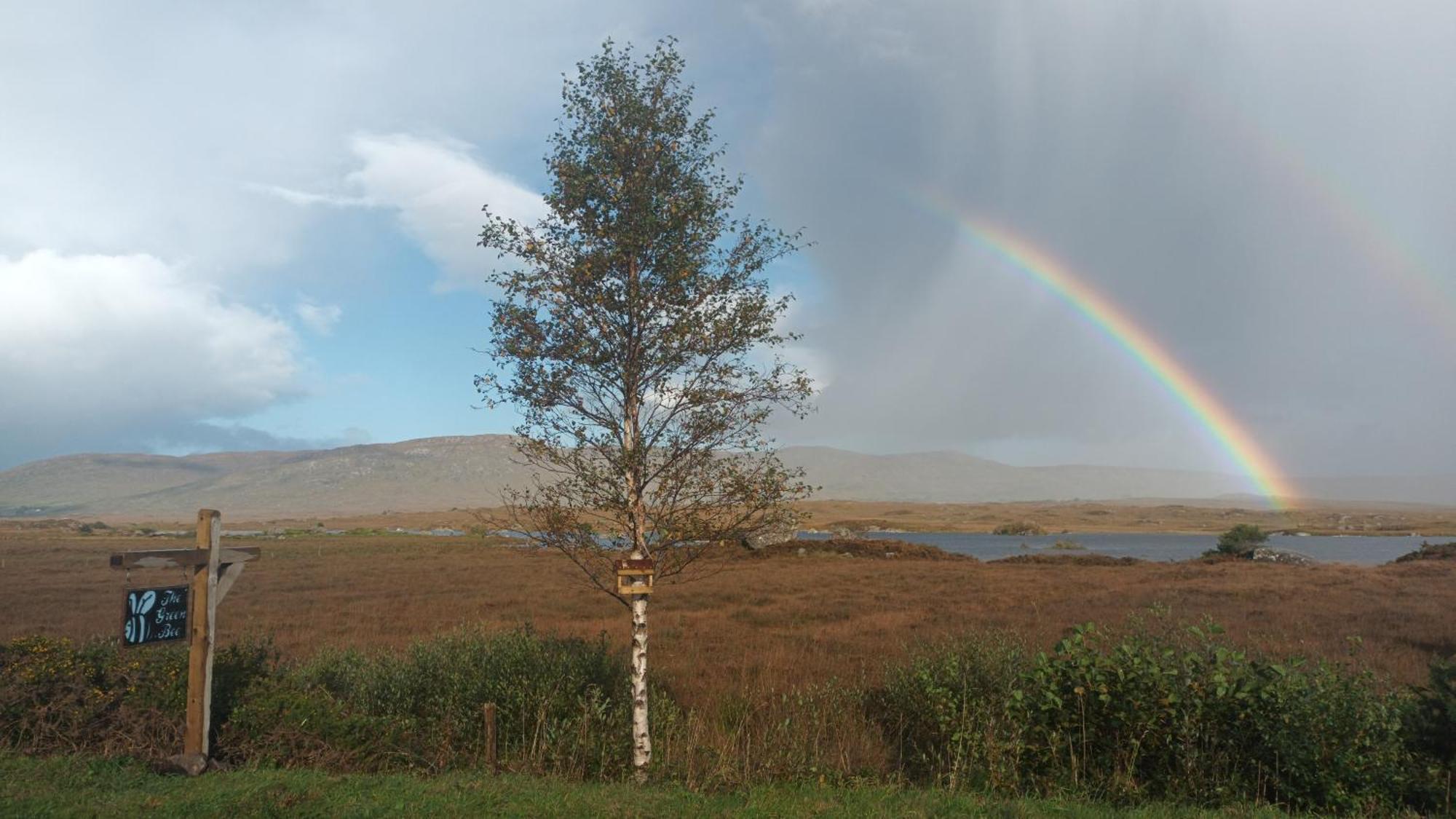 Connemara Lake View Apartment Camus Eighter Екстериор снимка