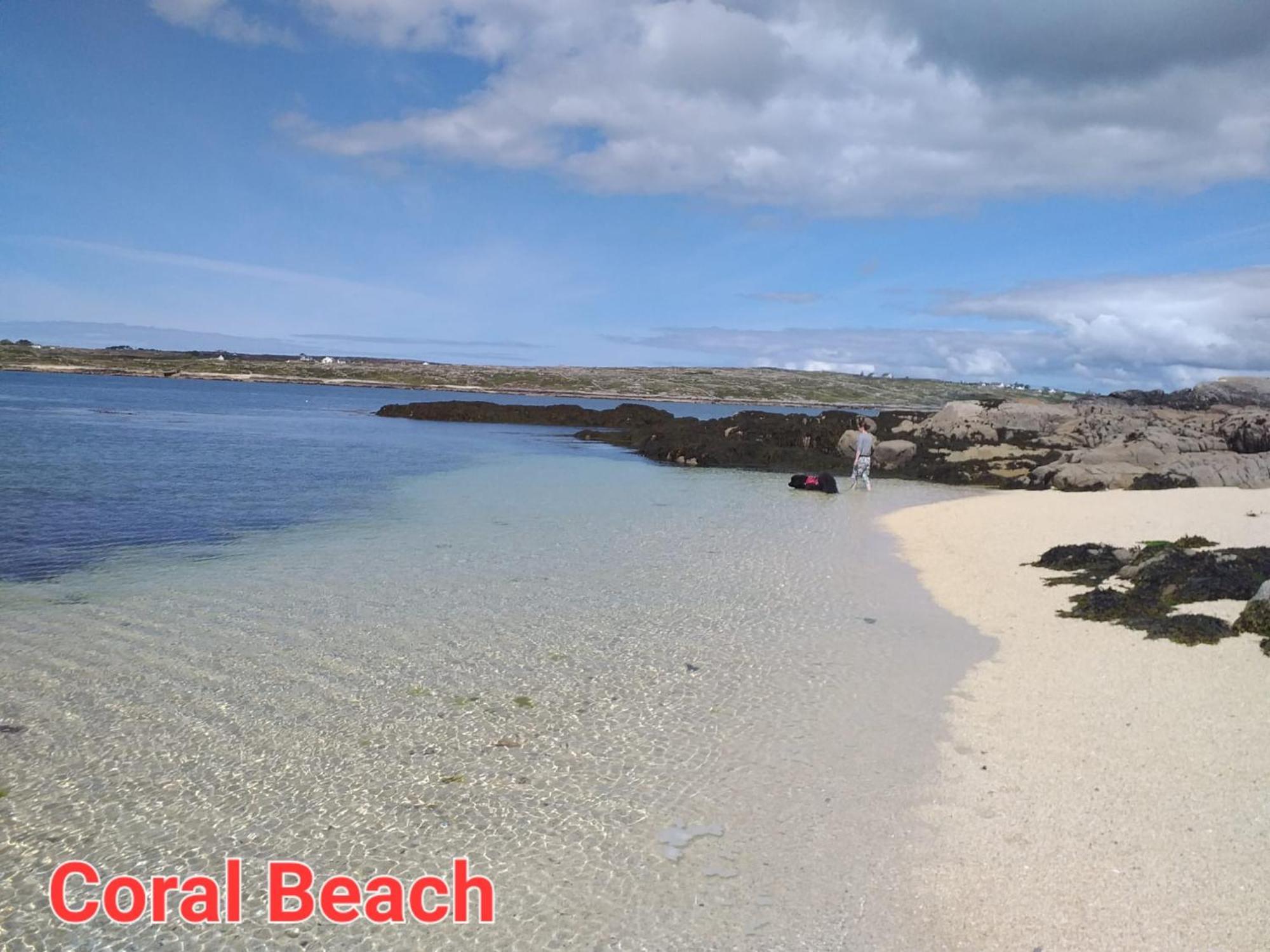 Connemara Lake View Apartment Camus Eighter Екстериор снимка
