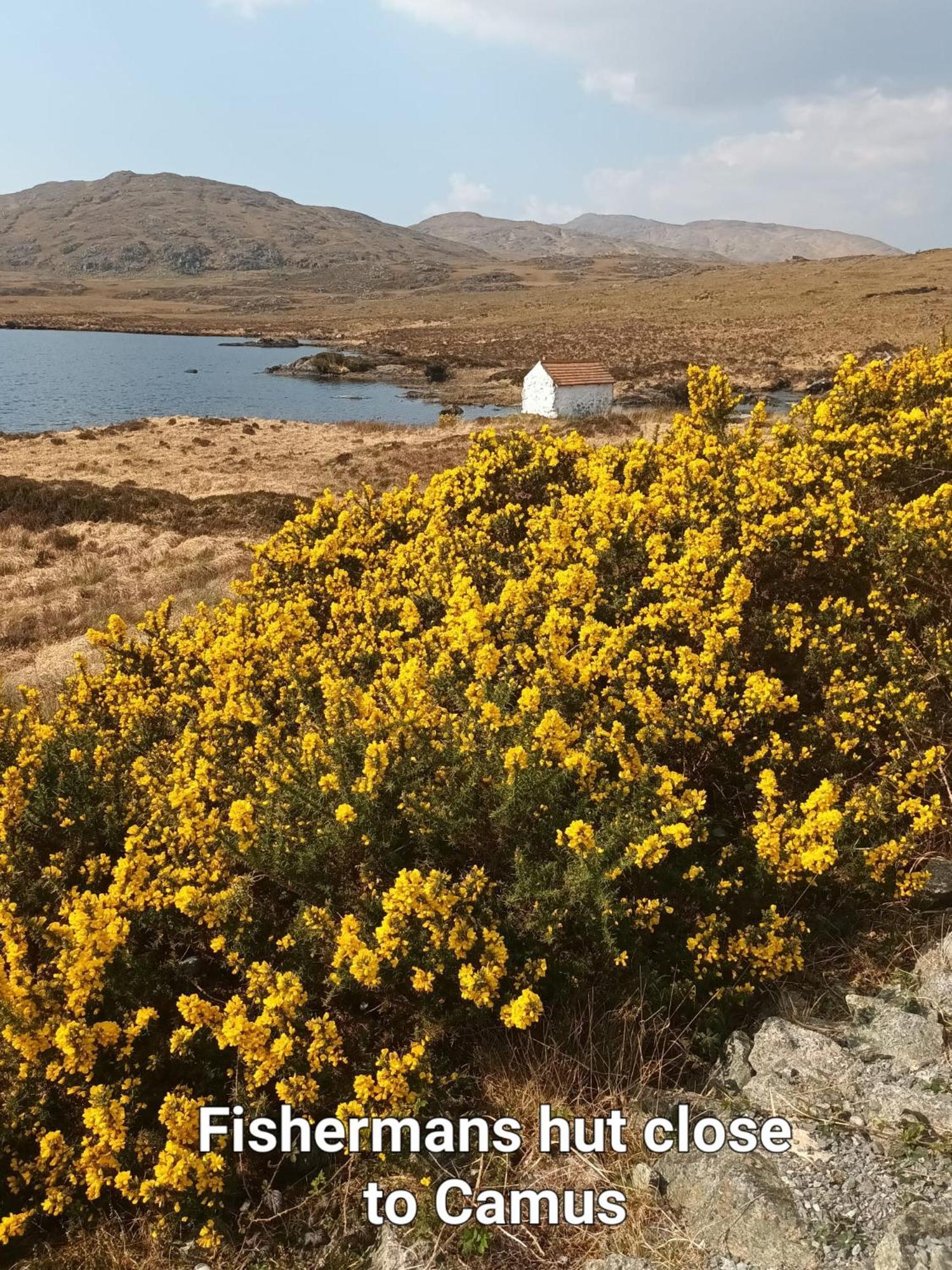 Connemara Lake View Apartment Camus Eighter Екстериор снимка